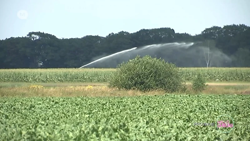 Wakker op de akker: Irri-Wijs waterrecuperatie