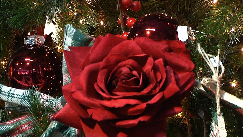 Tuincentrum Floralux: "Verbod op verkoop kerstdecoratie is financiële ramp"