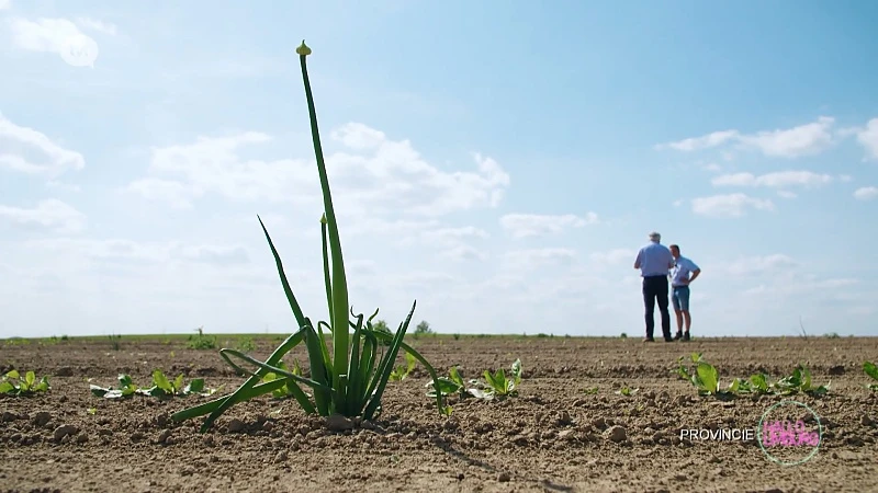 Irri-Wijs waterrecuperatie