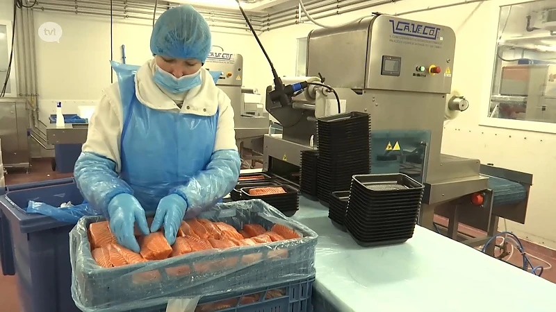 Het Blijft in de Familie: een kijkje achter de schermen bij Levenstond Seafood