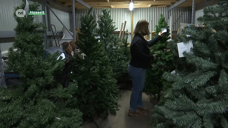 Rush op goedkope kerstbomen