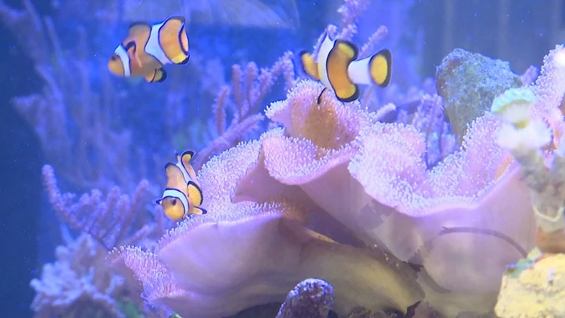 Het Blijft in de Familie: een kijkje achter de schermen bij Aqualife