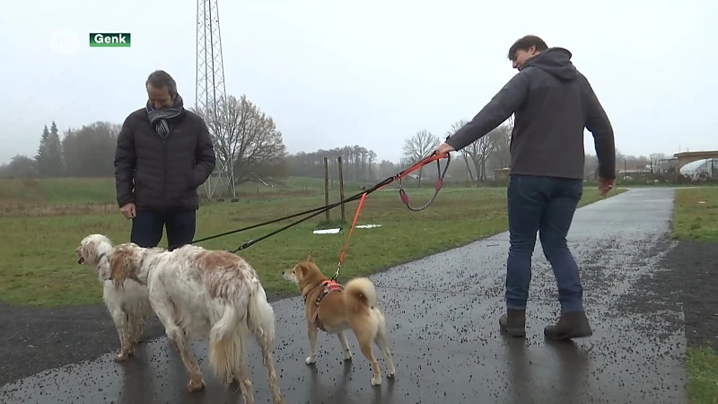 Strenge controles op loslopende honden in de natuur: boete van 80 euro