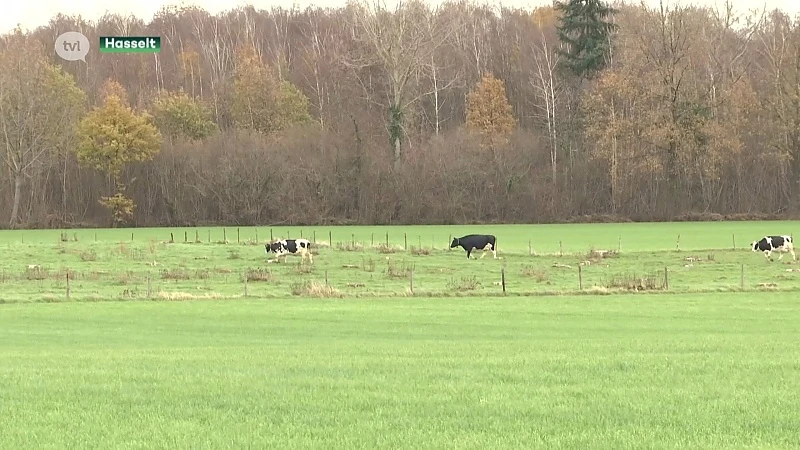 Boerenbond boos: "Geen industrie op Groene Delle, maar toch boscompensatie in Herkenrode"