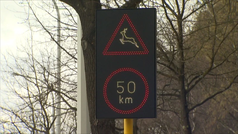 N76 in Oudsbergen krijgt wilddetectiesysteem na vele aanrijdingen met wild