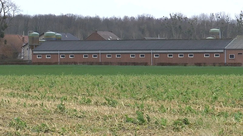 Vergunningsaanvraag voor kleinere kippenstal in Borgloon ook afgekeurd