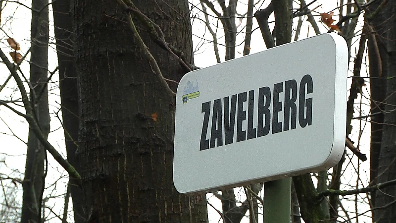 Bedrijfsfeest stilgelegd in Tessenderlo, politie hanteert nultolerantie op kerstavond en kerstdag