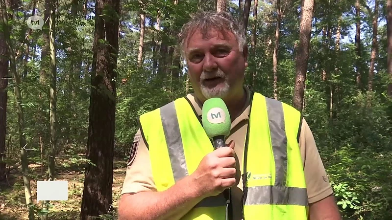 Herbekijk hier onze wolvenspecial: Het jaar van de Wolf
