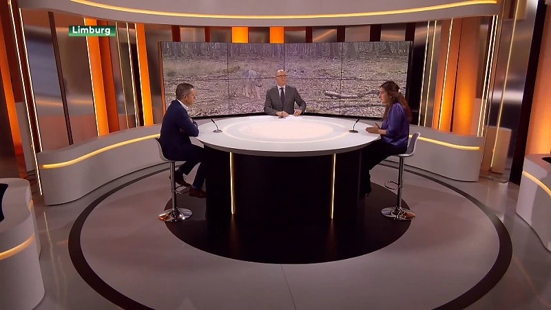 Het Jaar van de Wolf