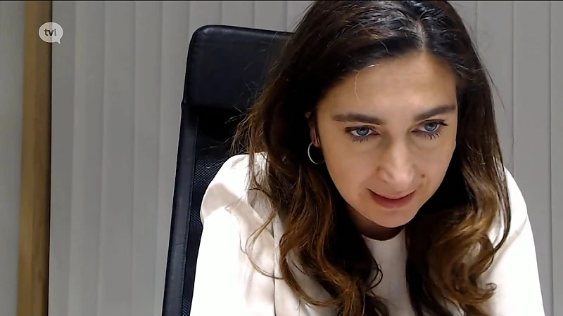 Zuhal Demir over zonnepanelen: "Dit is de meest redelijke oplossing voor iedereen"