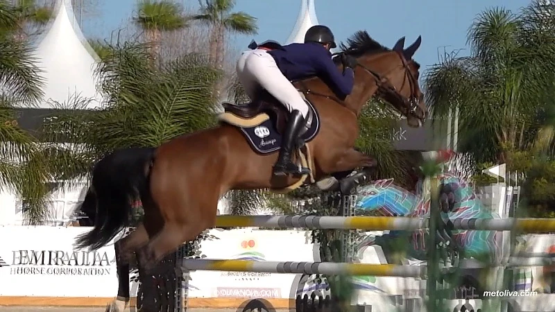 Ludo Philippaerts geniet met volle teugen van rentree in de paardensport