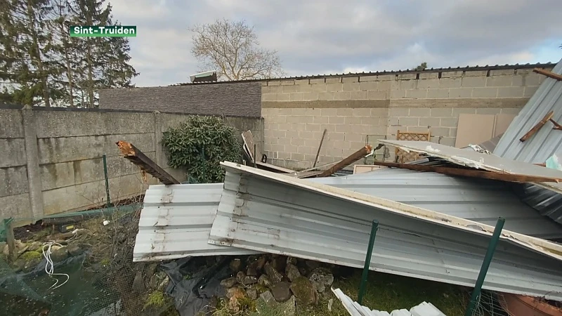 Stormschade in Limburg blijft beperkt