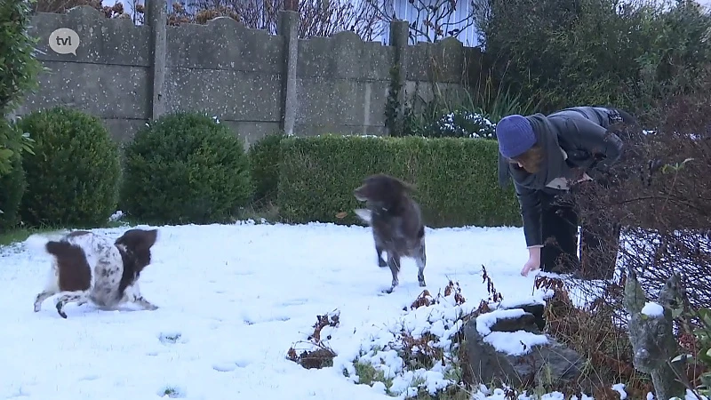 Sneeuw van korte duur