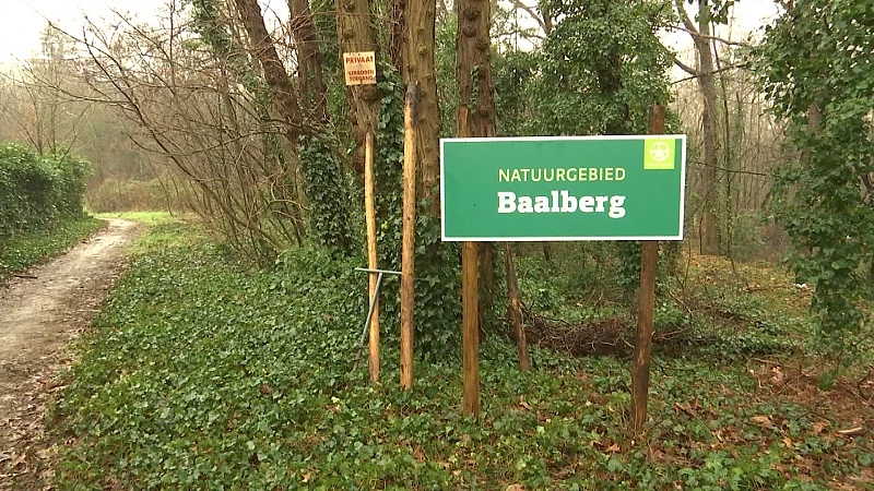 Natuurpunt Tessenderlo wordt eigenaar van waardevol bos Baalberg