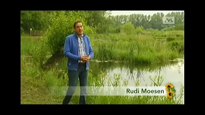 TVL Zomer 2012 - Bree