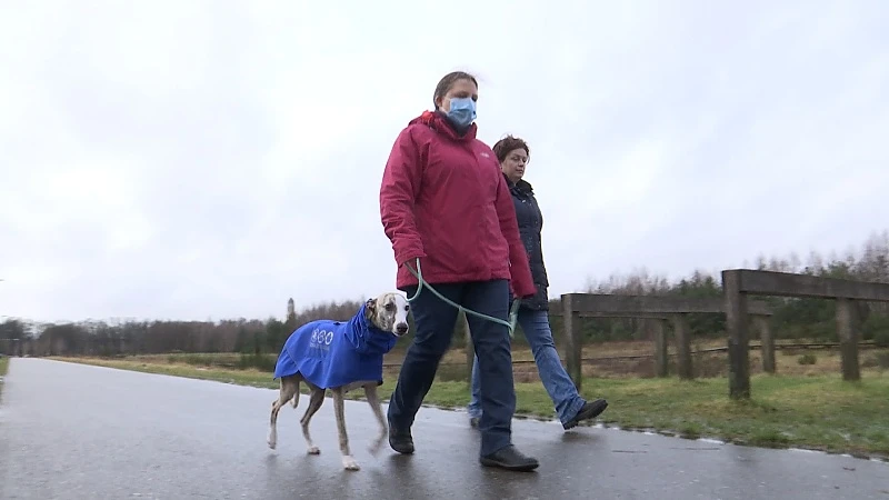 Tien procent werkende Limburgers kampt met burnout. Cijfer zal door corona toenemen.