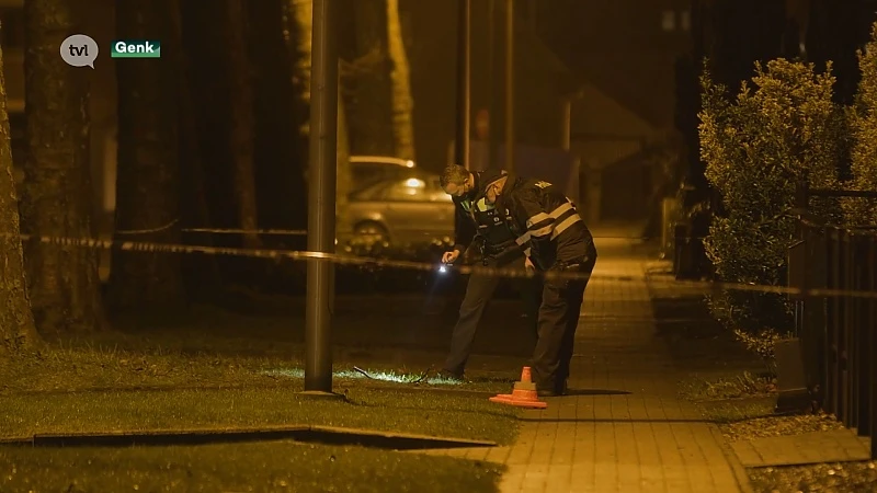 Huis van vrouw en twee kinderen beschoten in Waterschei