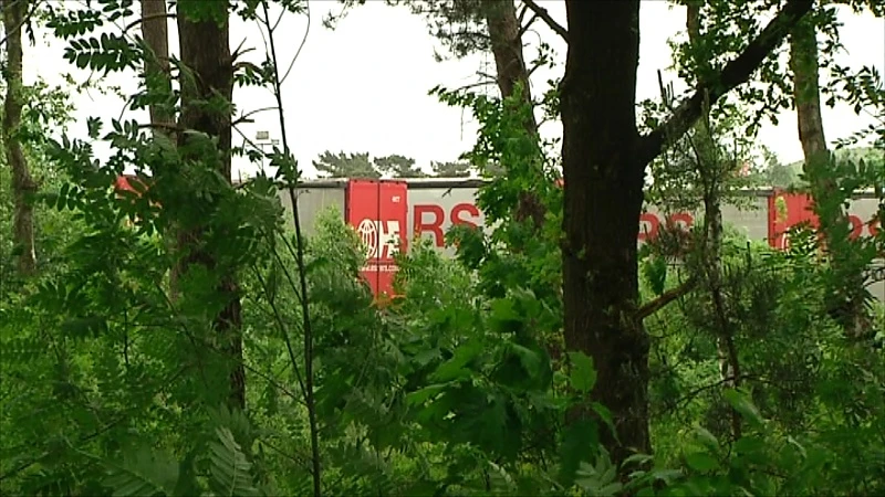 Essers mag dan toch bos kappen