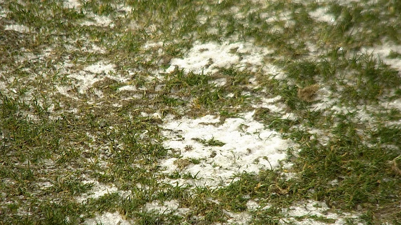 Oostende-Genk uitgesteld tot woensdag door bevroren veld
