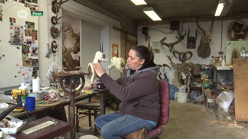 Uitgestorven ambacht, het opzetten van dieren, is weer springlevend