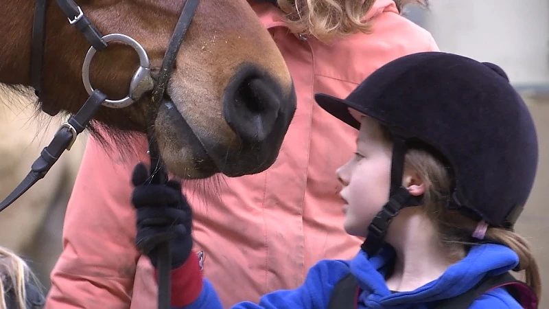 Hasseltse manege het Woutershof pleit voor heropstart sportclubs