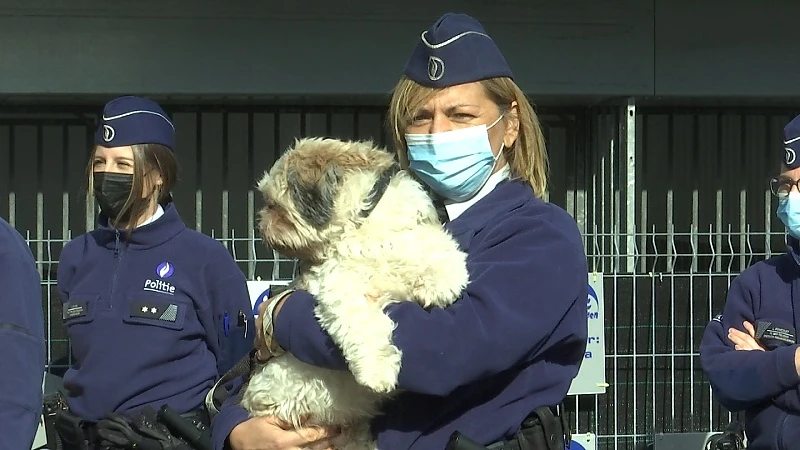 Politiezone Sint-Truiden-Gingelom-Nieuwerkerken breidt dierenpolitie fors uit