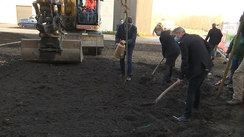 Afscheidsboom van ere-gouverneur Herman Reynders geplant aan gebouw Mediahuis