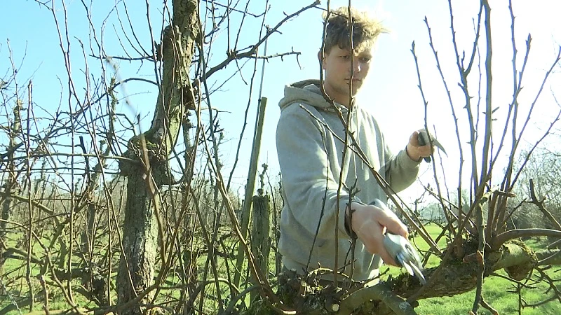 Landbouwgrond wordt onbetaalbaar voor jonge boeren