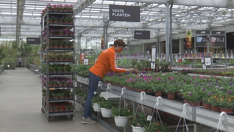 Tuincentra zitten met tekort aan planten