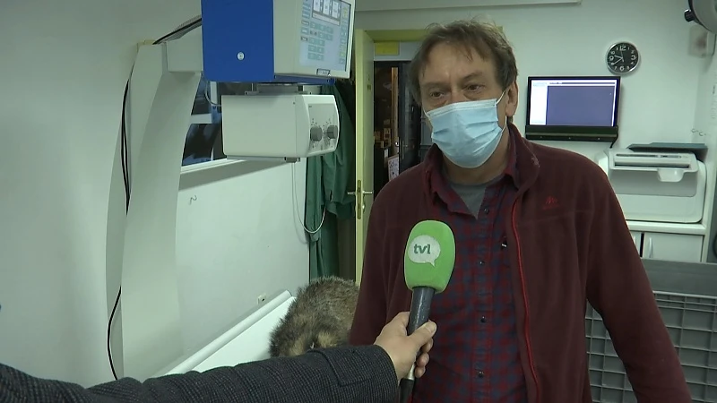 TVL Nieuws, 9 april 2021