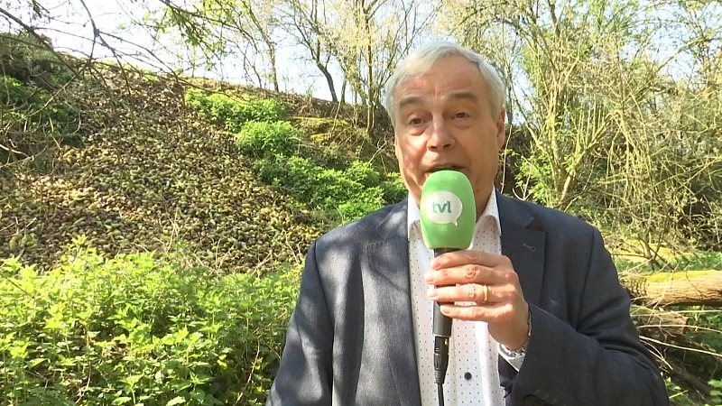 TVL Nieuws, 20 april 2021
