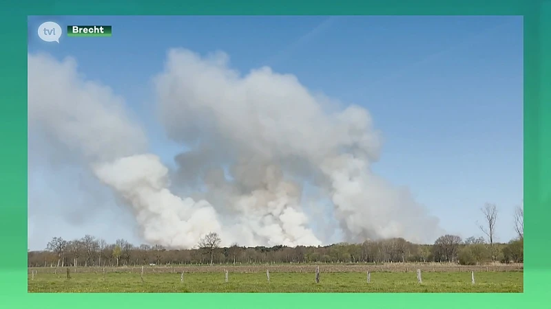 Alle Limburgse brandweerzones helpen zware brand in Brecht blussen