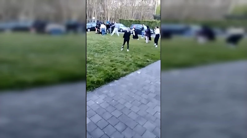 Confrontatie tussen Genk en Standard-hooligans leidt tot vechtpartij