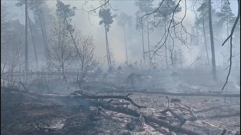 Bosbrand in de buurt van fietsen door de bomen