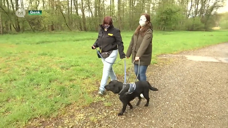 Meer ruimte en vrijheid voor blindegeleidehonden