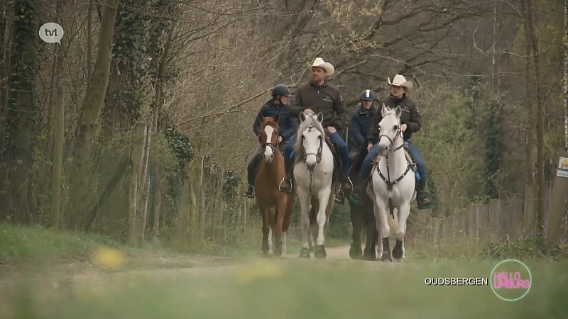 Hallo Oudsbergen: Paardentoerisme