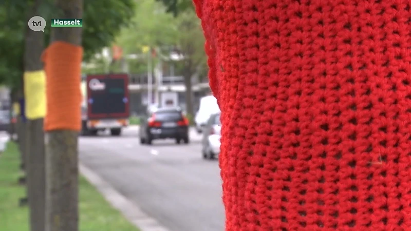 Dag tegen homofobie: Groene Boulevard Hasselt omgetoverd tot Regenboogboulevard