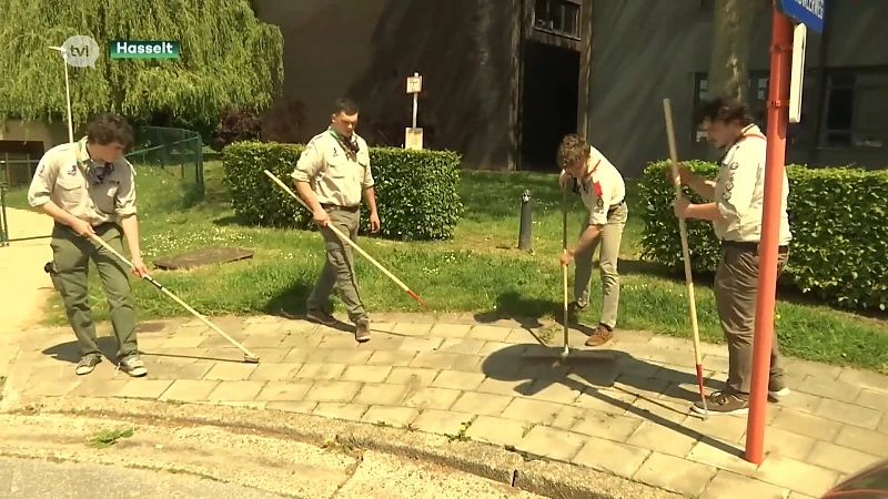 Hasselaren mogen stadsbestuur uitdagen om taken van hen over te nemen