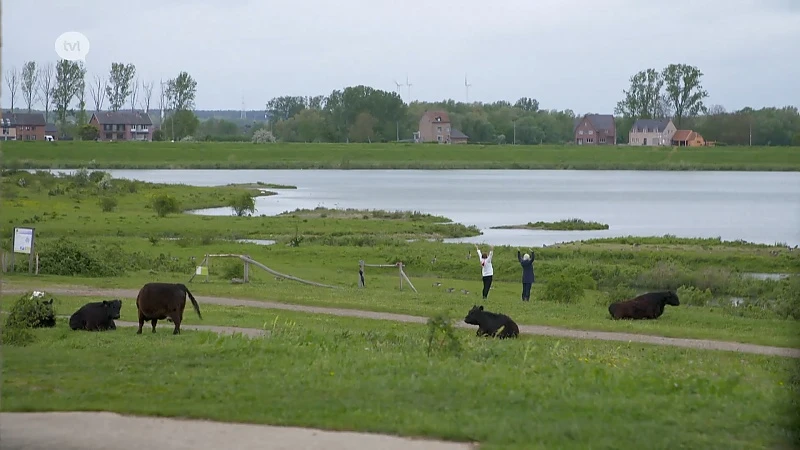 Buitengewoon Limburg - aflevering 4