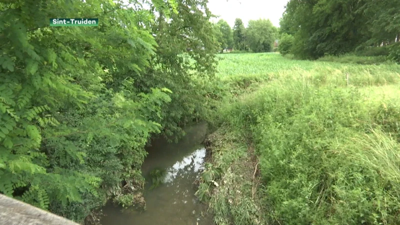 PFOS-alarm in Melveren: hoogste waarden van Vlaanderen gemeten aan de Melsterbeek