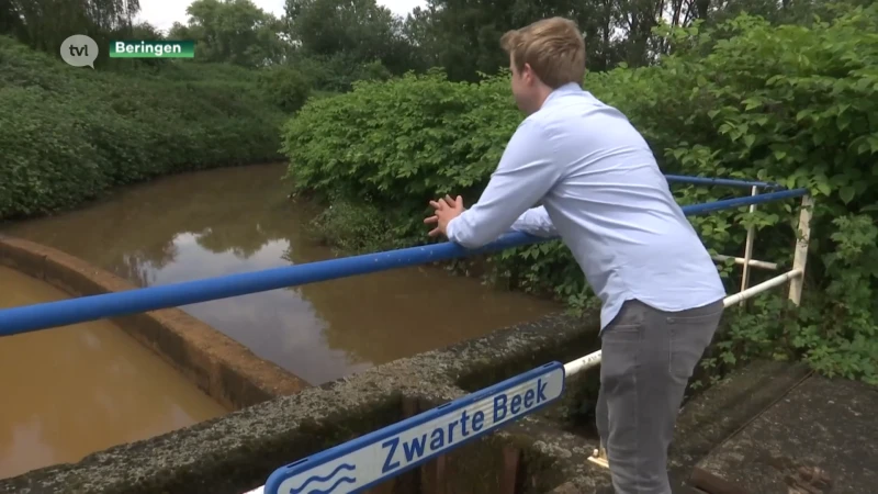Beringen ruilt bos voor zonnepanelenpark