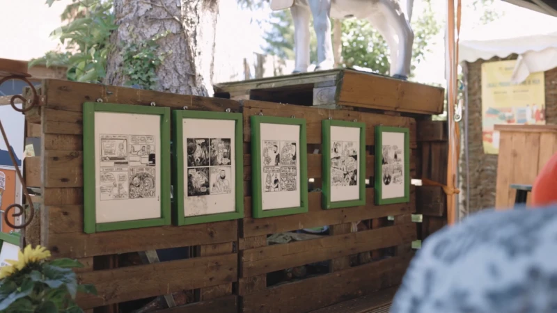 ZOMERTIP - Cartoonwandeling Lede