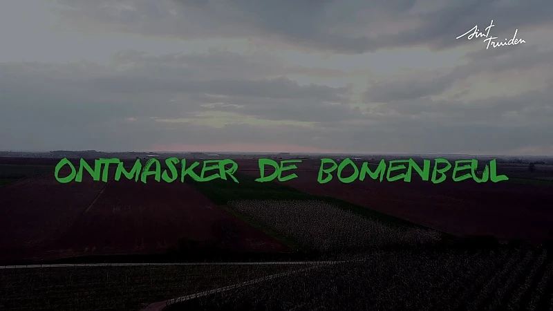 Ontmasker jij de bomenbeul? Sint-Truiden lanceert speurtocht voor jongeren