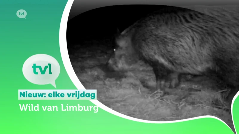 Trailer Wild van Limburg