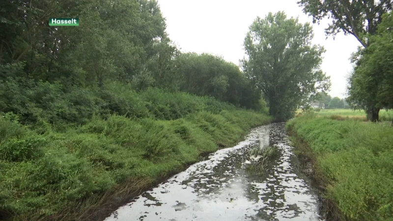 Schuim op Stevoortse Herk door hevige regenval