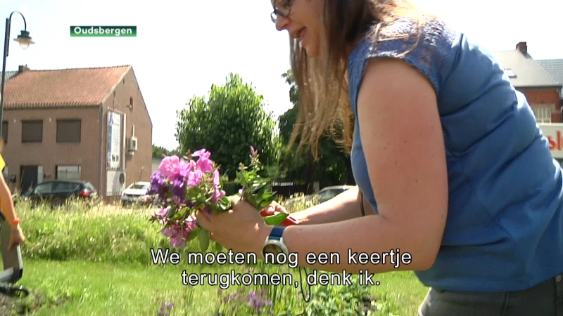 Eerste pluktuin in Oudsbergen groot succes