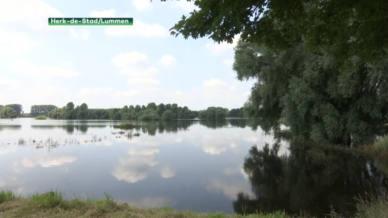 Zijn wachtbekkens klaar voor nieuwe buien?