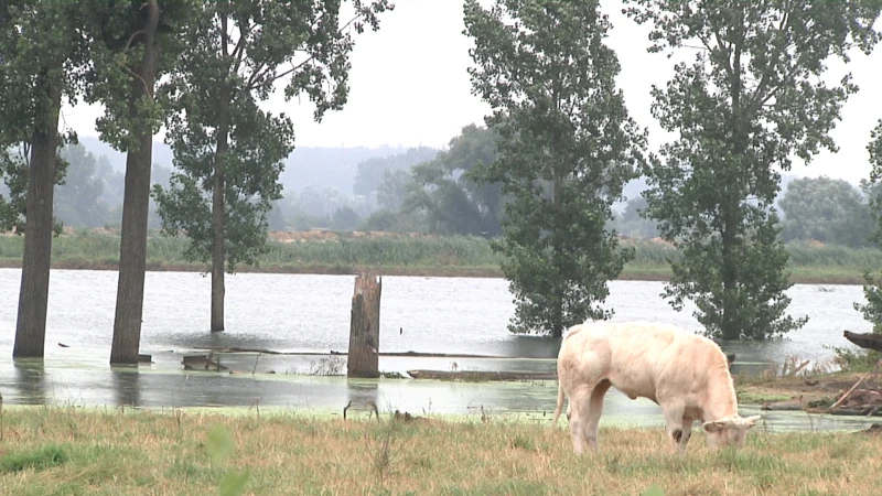 Weerman Ron Cornelissen: "Plaatselijk in Limburg wateroverlast mogelijk door intense regenzone"