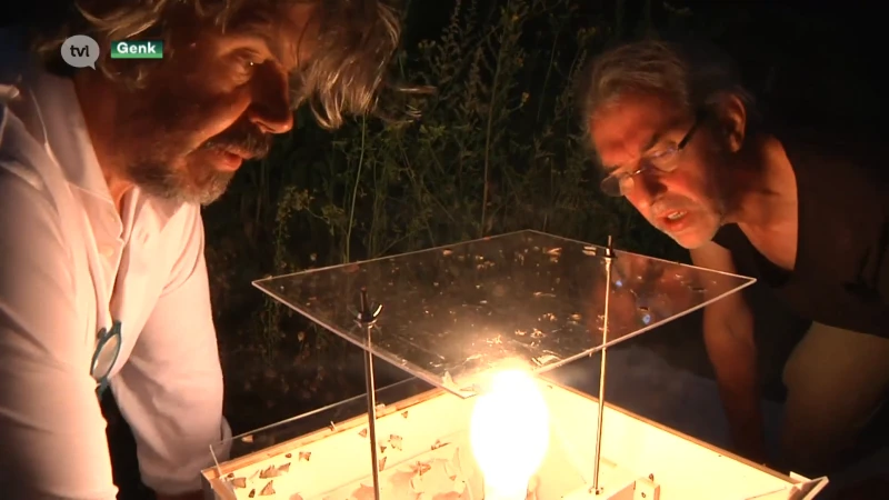 Genks Labiomista kondigt nocturne aan