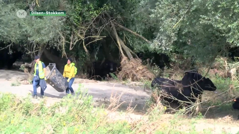 Honderden vrijwilligers ruimen puin na overstromingen aan de Maas
